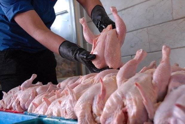 کاهش ٥٠٠ تومانی قیمت مرغ در بازار/ شرایط جوی دلیل گرانی بود