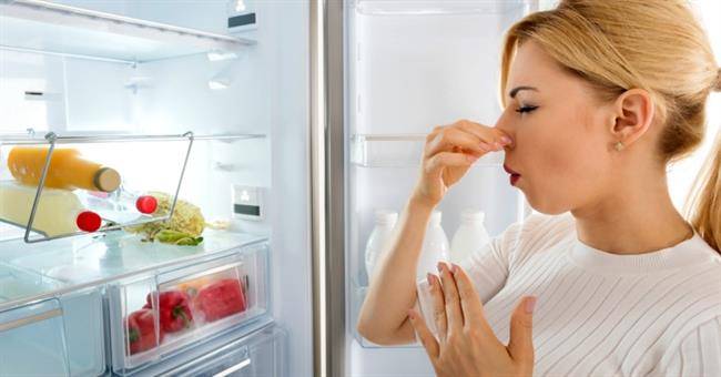 راه‌کارهایی برای از بین بردن بوی بد یخچال (بخش اول)