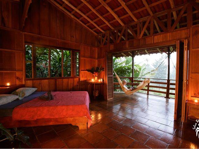 اقامتگاه سلوا بانانیتو (Selva Bananito Lodge)