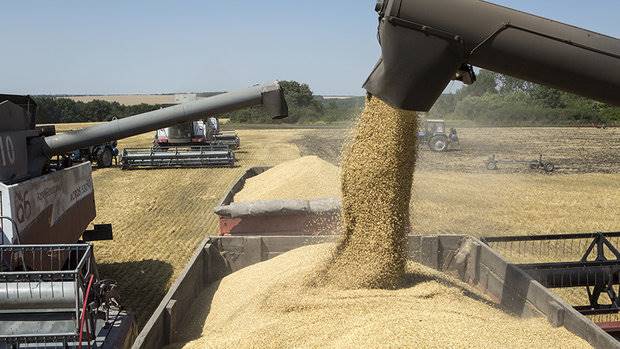 وجود ناخالصی در گندم های تحویلی به کارخانجات تولید آرد