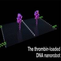 مبارزه با تومورهای سرطانی با استفاده از نانوربات ها