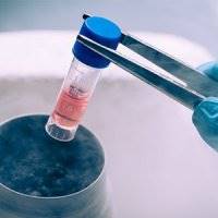 استفاده از سلول بنیادی در واکسن سرطان