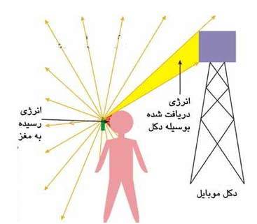 سجده بر خاک راهکار دفع امواج الکترومغناطیسی