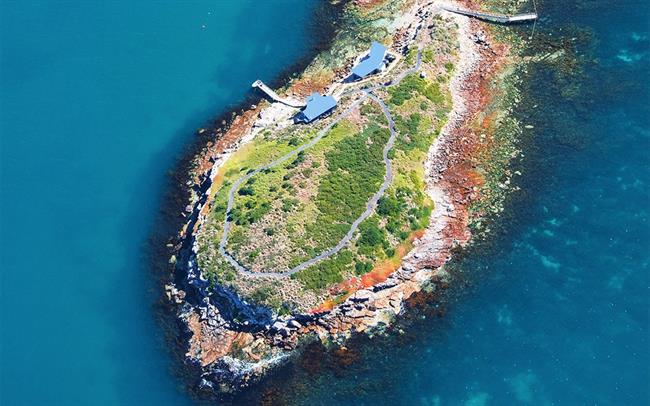 جزیره پیک نیک Picnic Island در تاسمانی