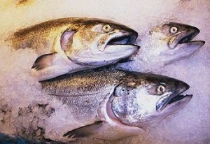 9 خوراکی خیلی مفید در فصل زمستان