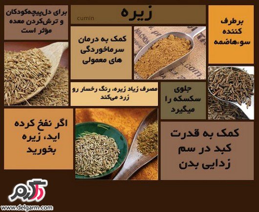 کاربرد زیره در پزشکی و آشپزی