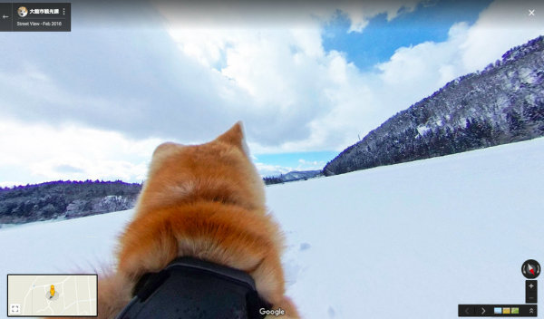 به کمک قابلیت جدید گوگل مپس، شهر اوداته ژاپن را با یک سگ بگردید