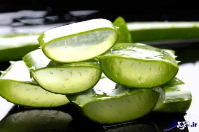 طرز تهیه کمپوت آلوئه ورا در منزل