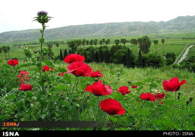 باغ چشمه بلقیس: زیبایی های ناشناخته استان کهگیلویه وبویراحمد