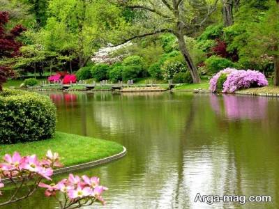 جملات زیبا درباره طبیعت