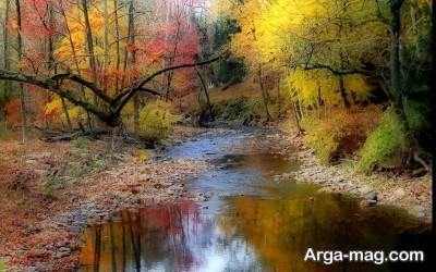 جمله زیبا برای طبیعت