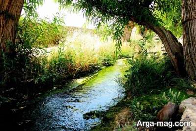 جمله زیبا درباره طبیعت