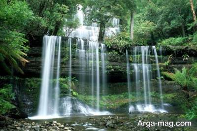 جمله زیبا برای طبیعت