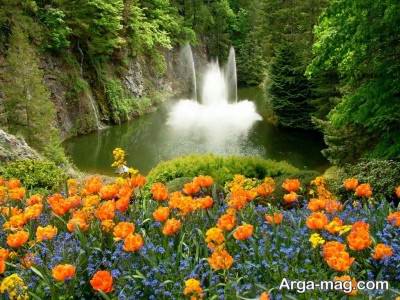 جملات زیبا برای طبیعت