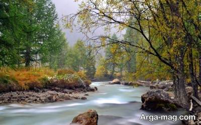 جمله زیبا برای طبیعت