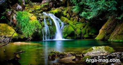 جمله زیبا درباره طبیعت