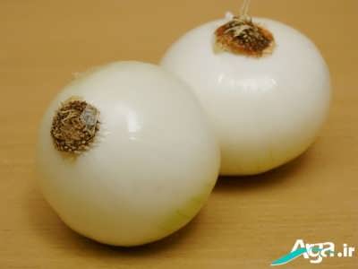 طرز تهیه کباب کوبیده بسیار خوشمزه