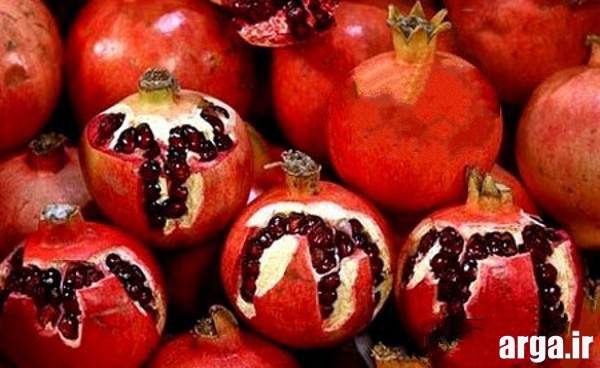 میوه آرایی شب یلدا