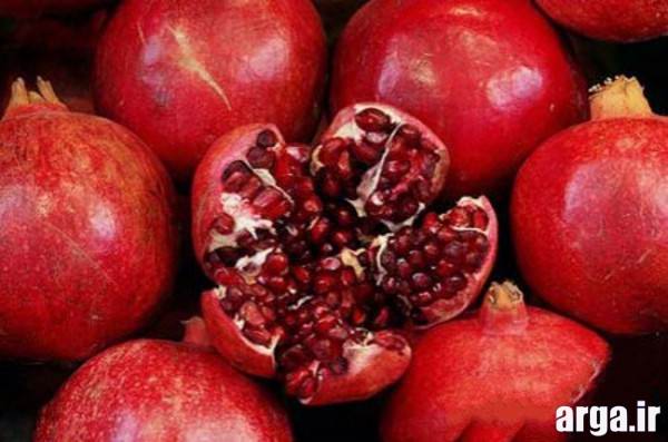میوه آرایی انار