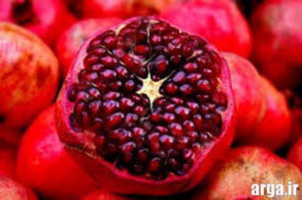 تزیینات انار جدید