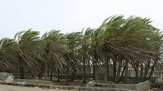 هشدار هواشناسی برای وزش باد شدید در هفت استان
