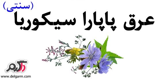 خواص عرق پاپارا سیکوریا