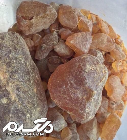 مومنایی ماده نفتی معجزه آسا
