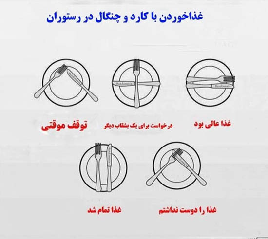 آداب جالب غذا خوردن در کشور های مختلف دنیا3