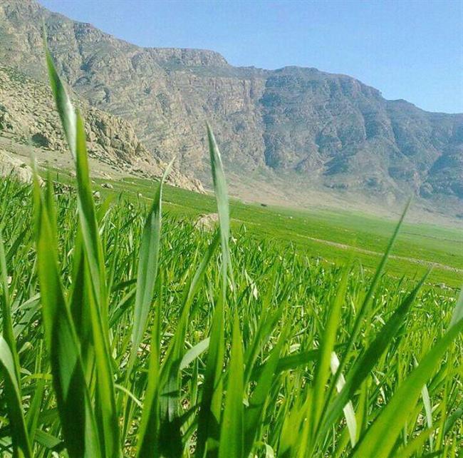 روستای پیان