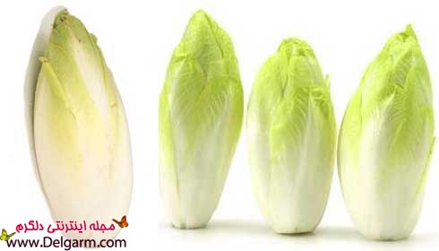 خواص آندیو و خاصیت های نگفته آندیو ENDIVE