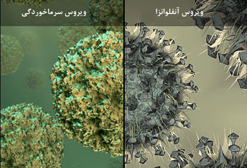 آشنایی با علل و درمان بیماری سرماخوردگی