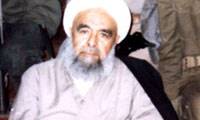 شهید آیت الله صدوقی و احزاب (2)