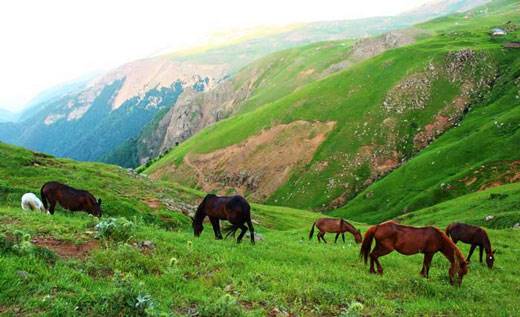 خانه‌هایی با پلک‌های باز