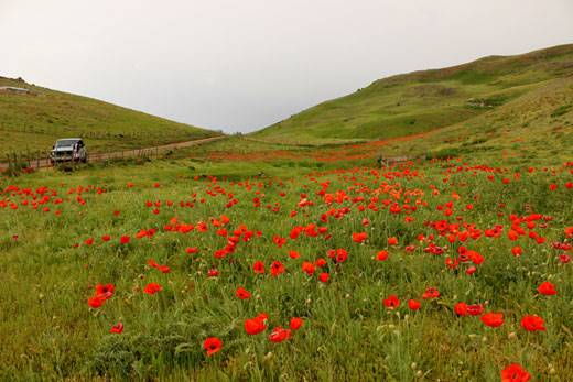 خانه‌هایی با پلک‌های باز