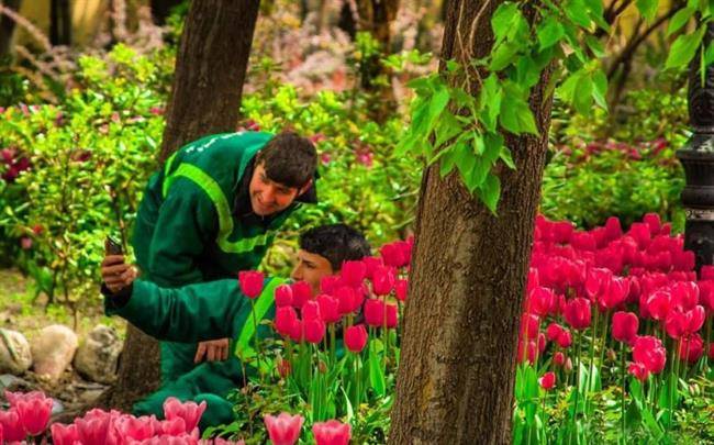 باغ گل ایران