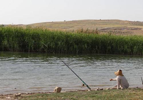 جاهای دیدنی شیراز در بهار