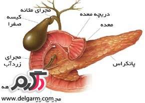 کیسه صفرا