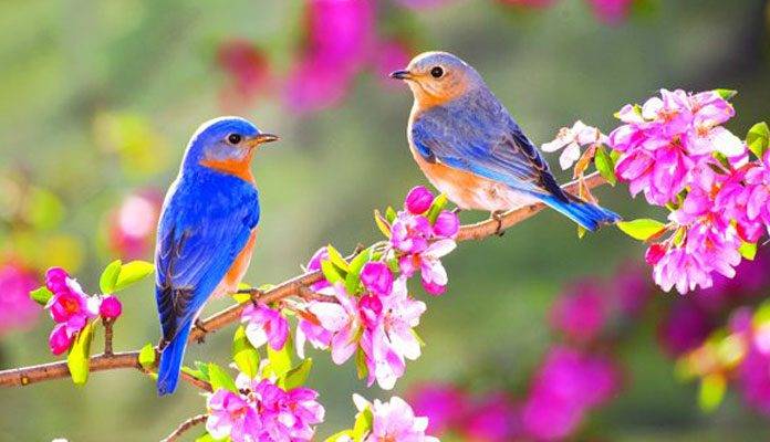 عید دیدنی فرصتی برای دیدن صورت مثل ماه او