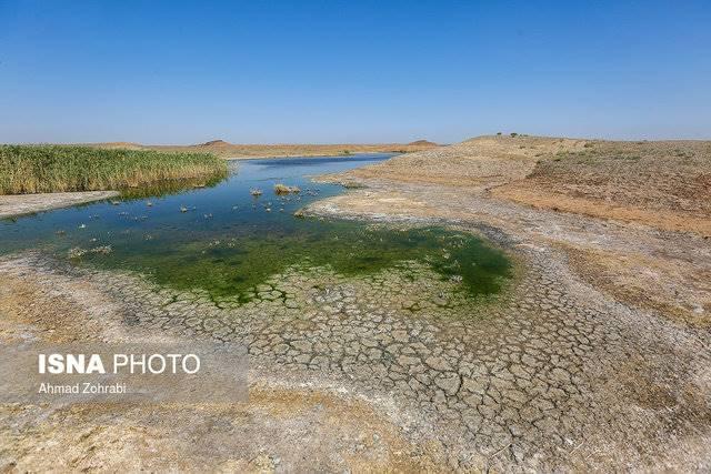 بهاری که نبارید