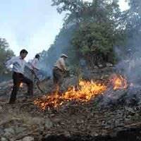 آتش سوزی در پارک جنگلی جزینک در سیستان و بلوچستان