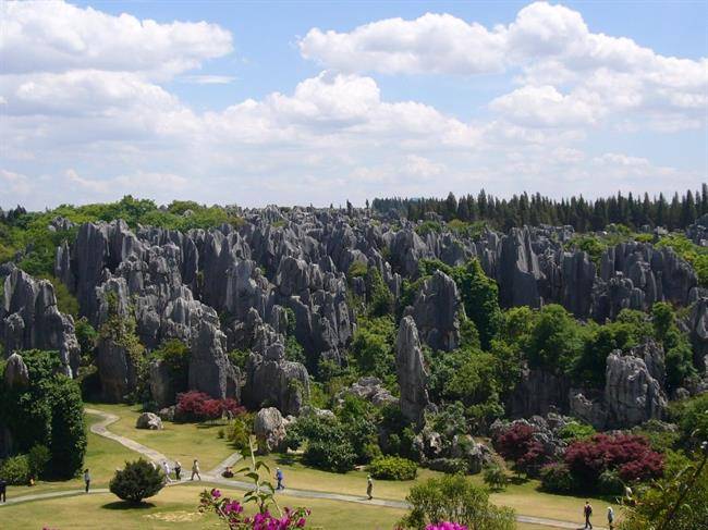 پارک ملی شیلین(Stone Forest)