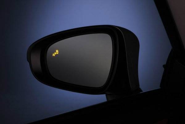 Blind Spot Monitor