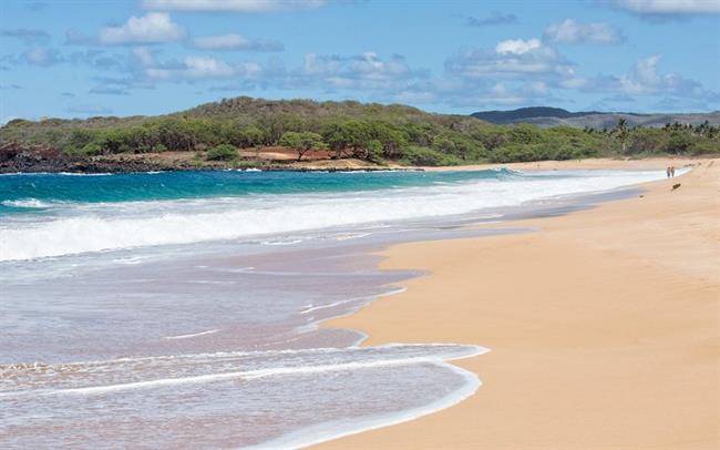 ساحل Papaohaku منطقه Molokai