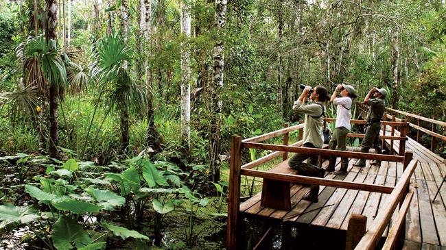 مجموعه اقامتی Inkaterra Reserva Amazonica در پوئرتو مالدونادو Puerto Maldonado، پرو