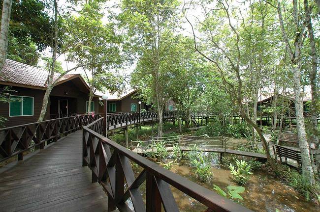 مجموعه اقامتی جنگلی سوکائو Sukau Rainforest Lodge، مالزی