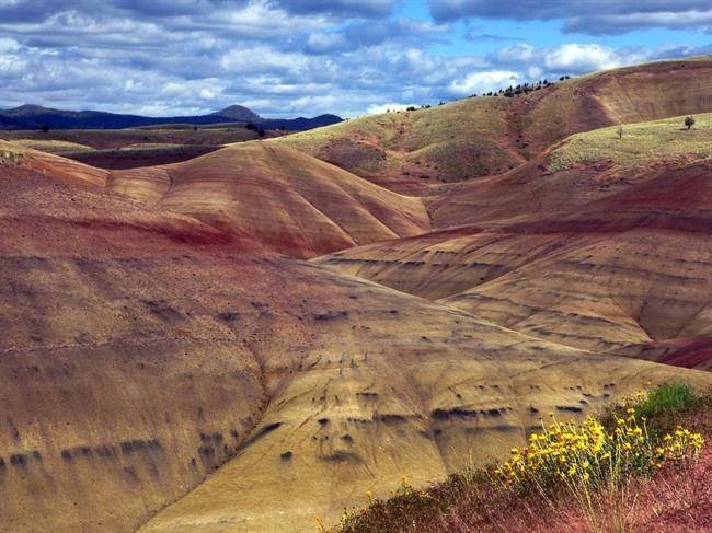 نمای زیبای دیگری از تپه های نقاشی شده اورگون