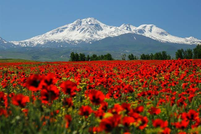 کوه سبلان