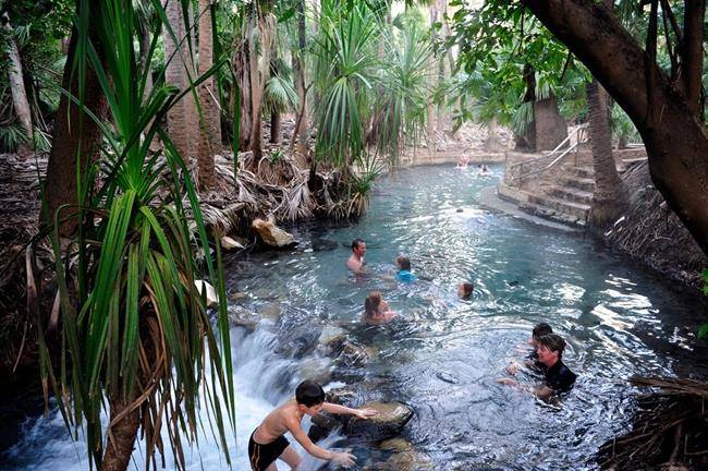 استخر جوشان ماتارانکا Mataranka Thermal Pool در استرالیا