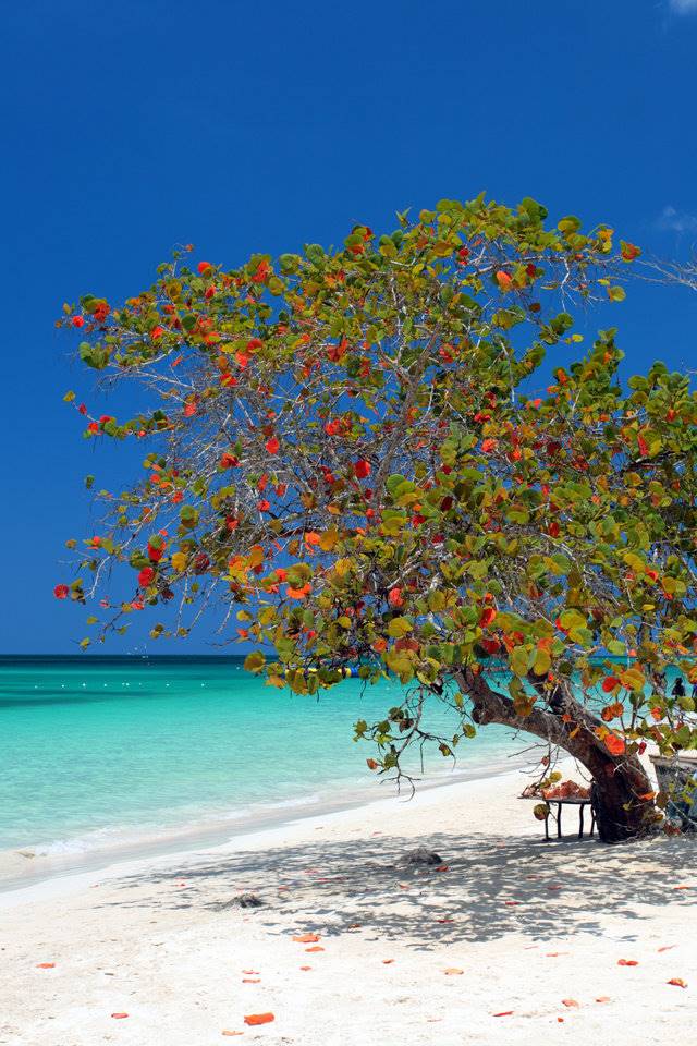 Playa Coson در جمهوری دومنیکن