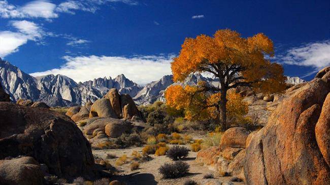 دلیل چهارم : کوه ویتنی Mount Whitney